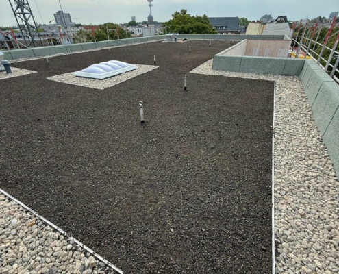 Anlage eines Gründaches in Hamburg durch ZMB
