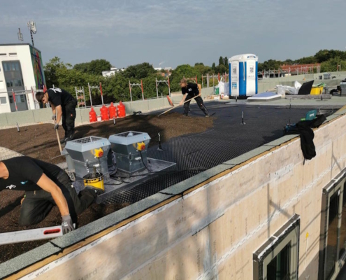 Anlage eines Gründaches in Hamburg durch ZMB