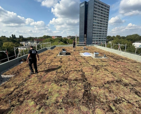 Anlage eines Gründaches in Hamburg durch ZMB
