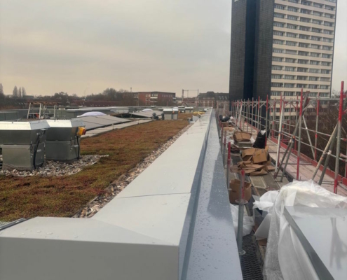 Gründacharbeiten in Hamburg durch ZMB