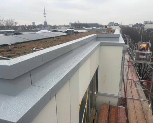 Gründacharbeiten in Hamburg durch ZMB