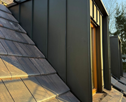 Gauben 10 Dachgaube in Hamburg von ZMB