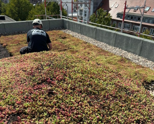 Gründacharbeiten in Hamburg durch ZMB